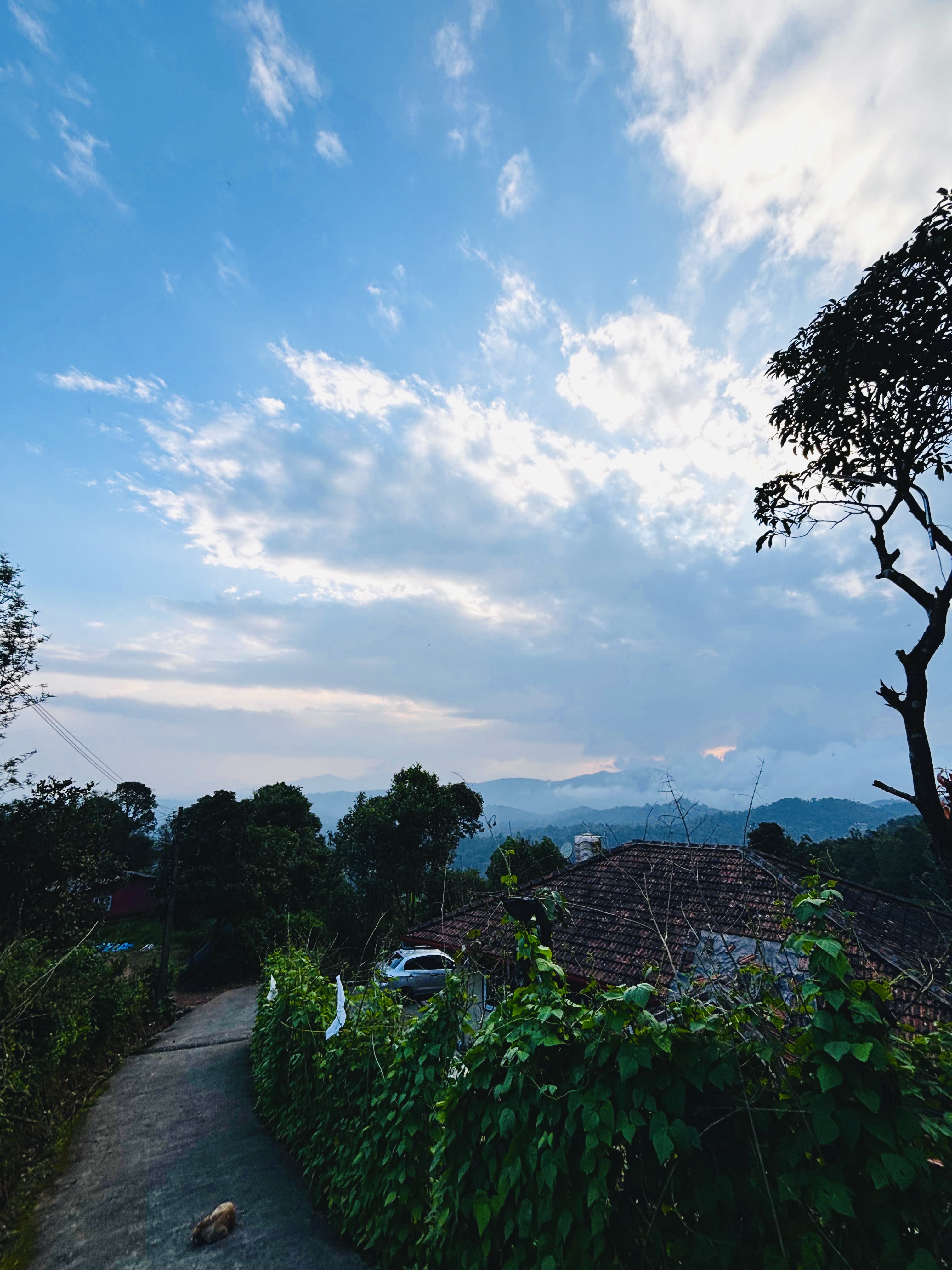 Homestays & Private villas