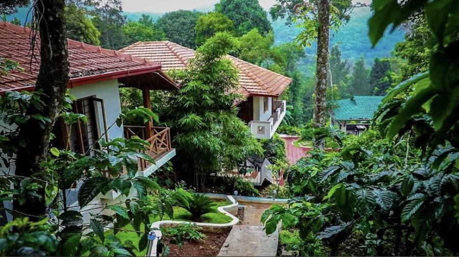Jungle View Resort coorg