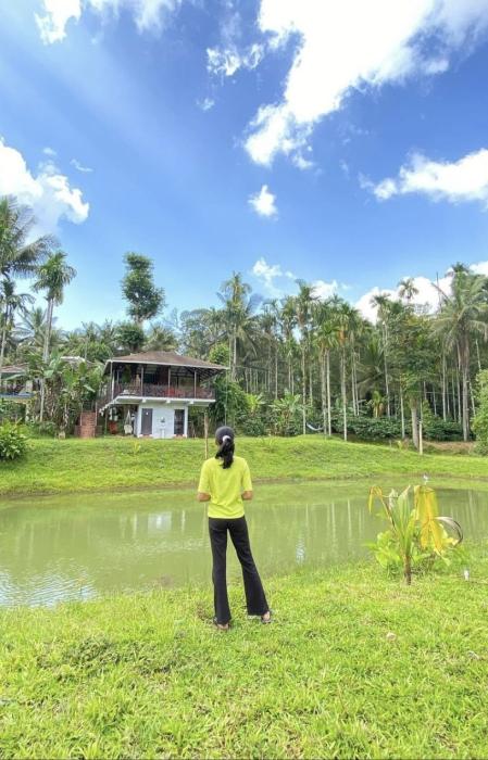 Plantation view homestay